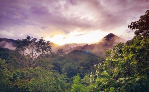 Amazon Rainforest - EcoBrazil Workshop co-hosted by the University of the Built Environment