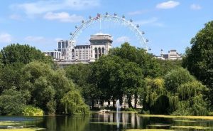 Urban green spaces Credit: Eren Cebeci 