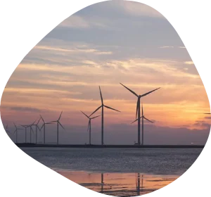 Windfarm - University of the Built Environment. Photo credit: Pixabay/ Pexels