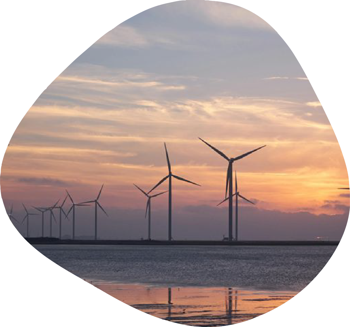 Windfarm - University of the Built Environment. Photo credit: Pixabay/ Pexels