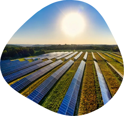 Solar Farm - University of the Built Environment. Photo credit: Tom Fisk/ Pexels