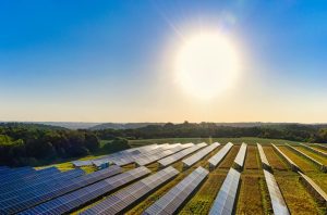 Solar Farm - University of the Built Environment. Photo credit: Tom Fisk/ Pexels