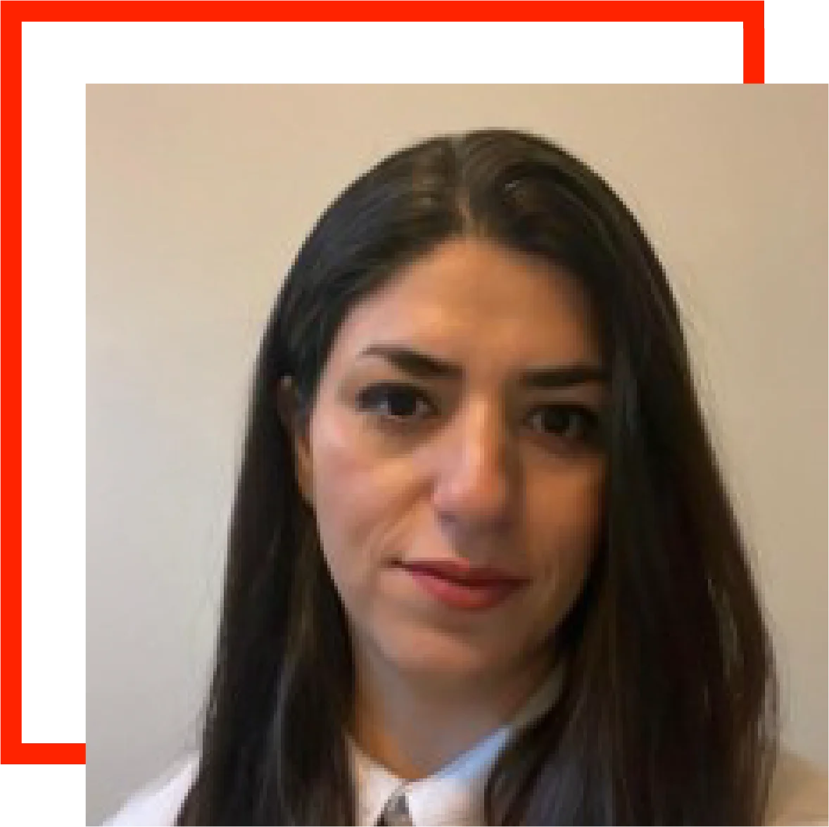 Shadab Bahreini University Academic Staff