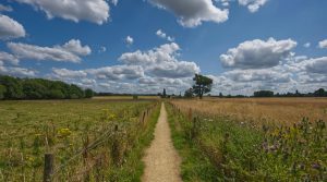 Pippa Middleton - Kintbury footpath row - University of the Built Environment academic Matthew Smith on the laws behind public rights of way